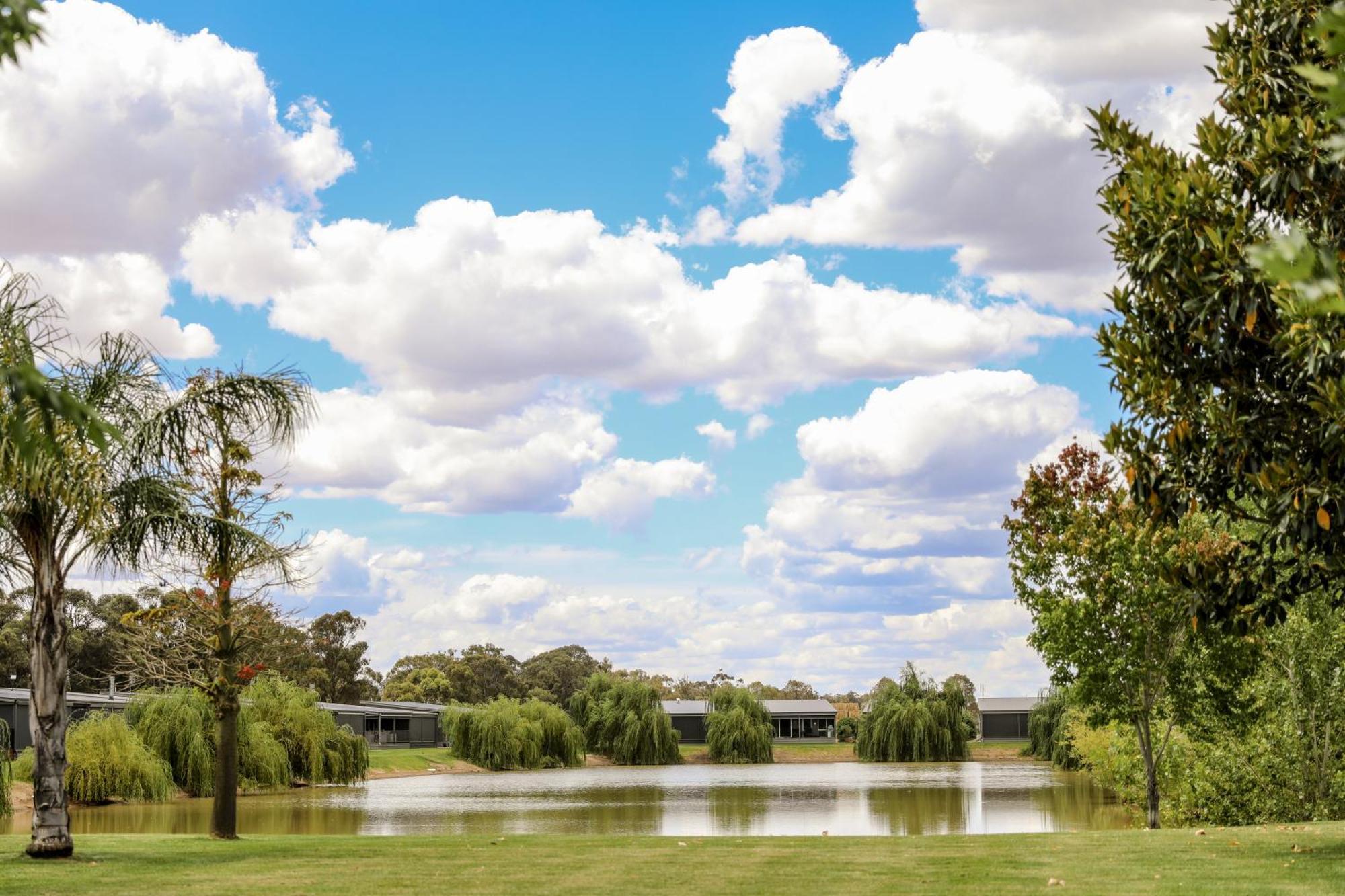 Discovery Parks - Moama Waters Exteriör bild